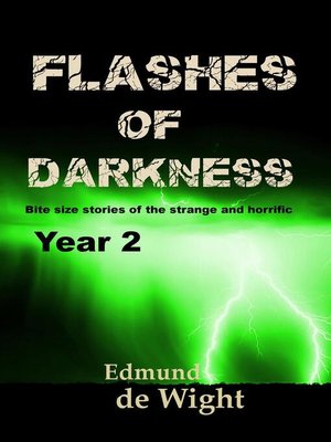 cover image of Flashes of Darkness Year 2